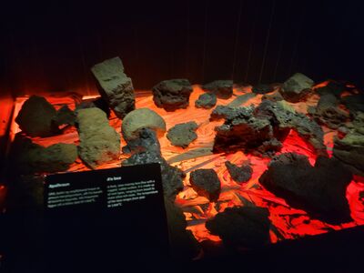 20240510_163445.jpg
