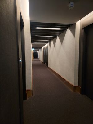 20240510_191020.jpg