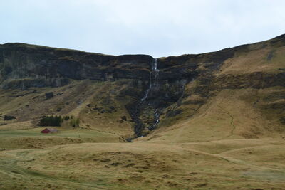 DSC_0723.JPG