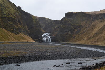 DSC_0724.JPG