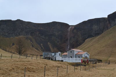DSC_0727.JPG
