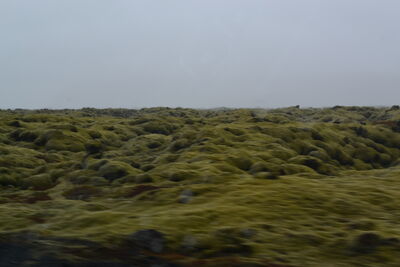 DSC_0728.JPG