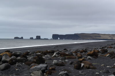 DSC_0730.JPG
