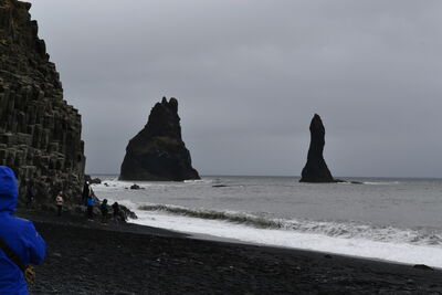 DSC_0733.JPG