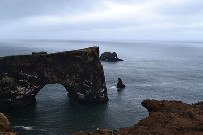 DSC_0766.JPG