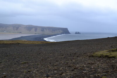 DSC_0769.JPG