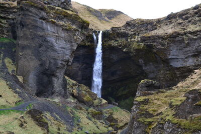 DSC_0781.JPG