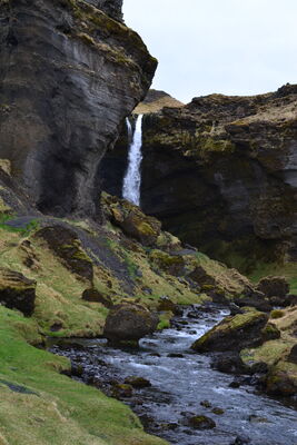DSC_0782.JPG