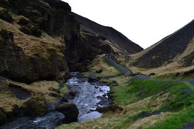 DSC_0784.JPG