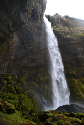 DSC_0786.JPG