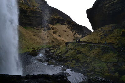DSC_0790.JPG