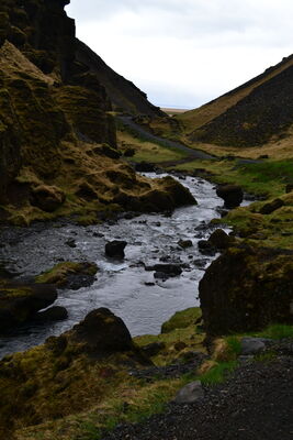 DSC_0801.JPG