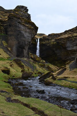 DSC_0803.JPG