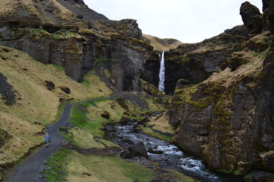 DSC_0804.JPG