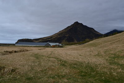 DSC_0806.JPG