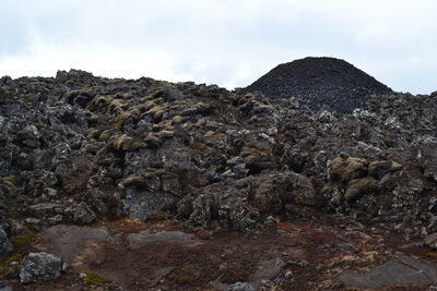 DSC_0853.JPG