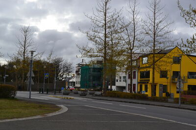 DSC_0878.JPG