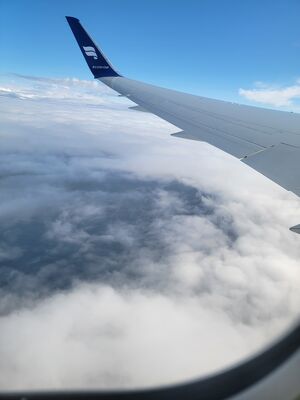20240512_171934.jpg
