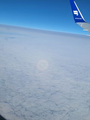 20240512_214633.jpg