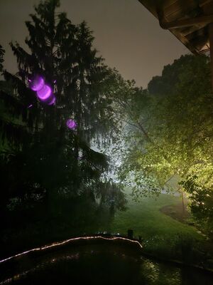 20240522_214244.jpg