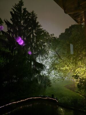 20240522_214307.jpg