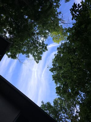 20240615_201526.jpg
