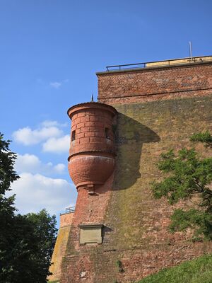 20240624_172612.jpg