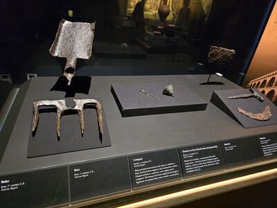 20240707_104757.jpg