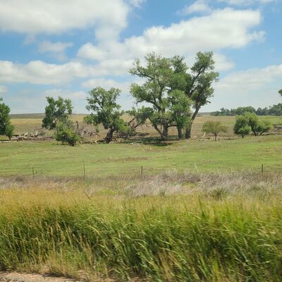 20240823_122750.jpg