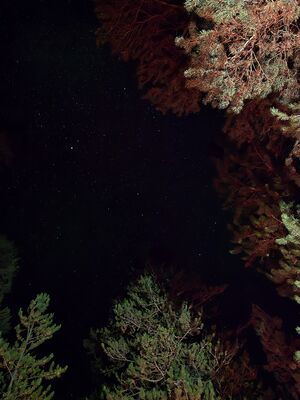 20240826_223334.jpg