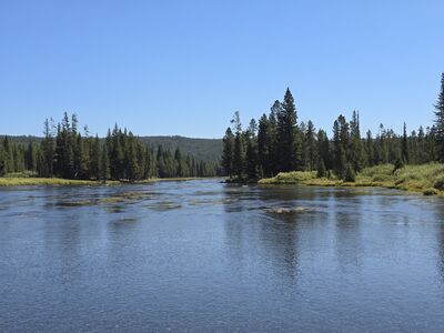 20240827_121224.jpg