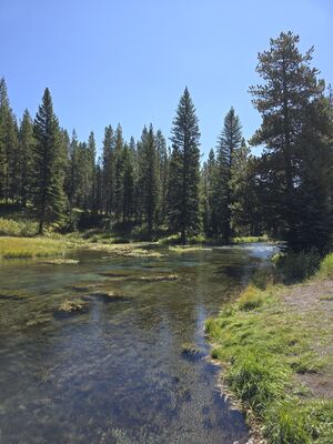 20240827_124750.jpg