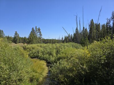 20240827_154812.jpg