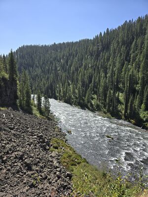20240828_123952.jpg