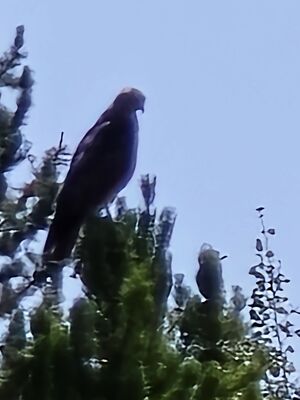 20240828_130755.jpg