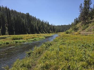 20240828_131530.jpg