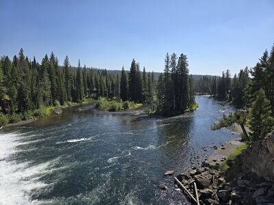 20240828_151912.jpg