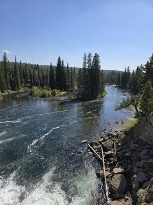 20240828_152350.jpg