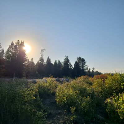 20240828_184344.jpg
