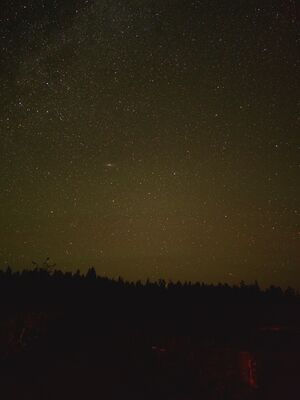 20240828_221514.jpg