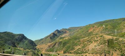 20240830_113039.jpg