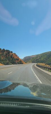 20240830_113303.jpg