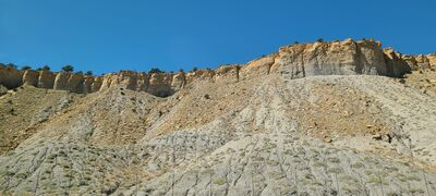 20240830_121940.jpg