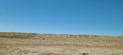 20240830_130841.jpg