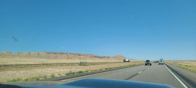 20240830_133122.jpg