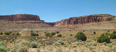 20240830_135217.jpg