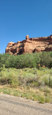 20240830_151155.jpg