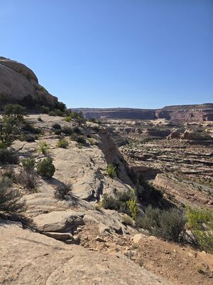 20240830_164904.jpg