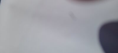 20240830_164912_001.jpg