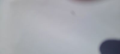 20240830_164912_003.jpg